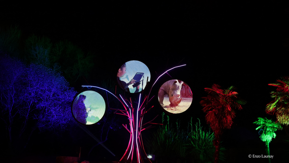 Illuminations Sauvages 