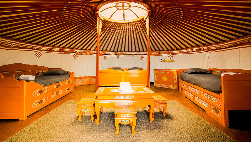 Option Mongolie