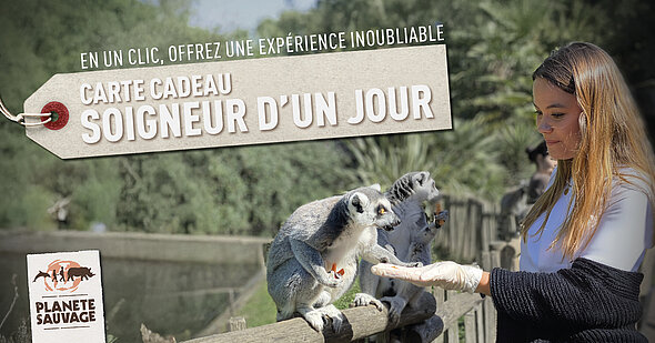 Carte cadeau Soigneur d'un Jour