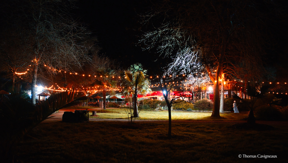 Illuminations Sauvages 