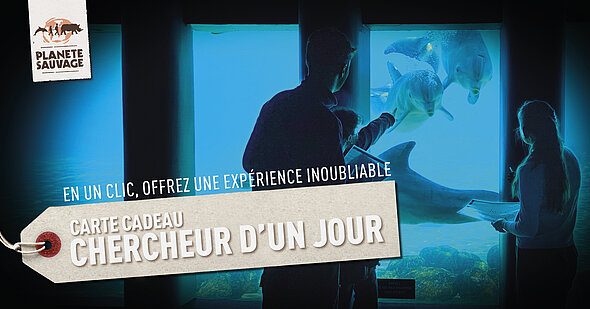 Carte cadeau chercheur d'un jour