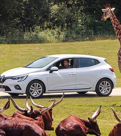 2. Le plus grand Safari de France
