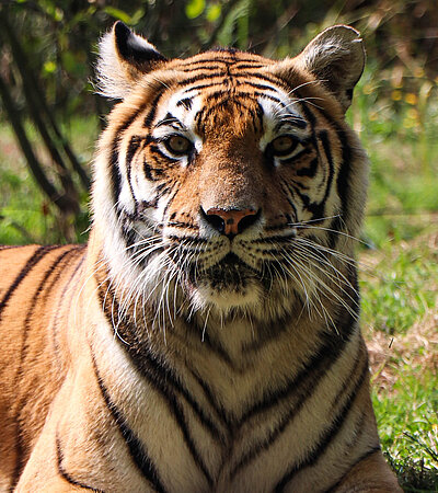 3. Plus de 1 000 animaux à rencontrer