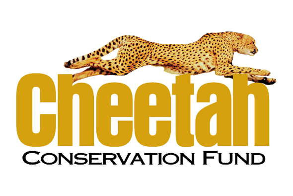 Cheetah Conservation