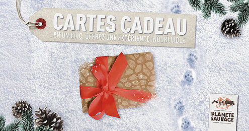 Carte cadeau Noël
