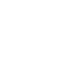 Animaux 